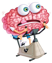 Brain-on-a-bike-exercise